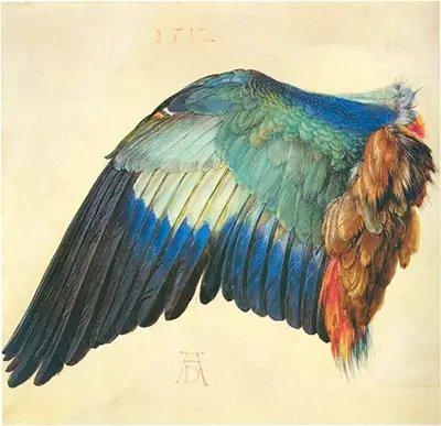 Wing of a Blue Roller Albrecht Durer